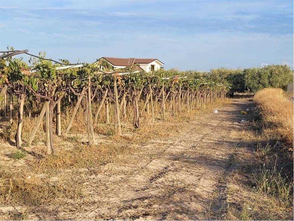 Terreno a Cerignola in VIA TEANO - Foto 2