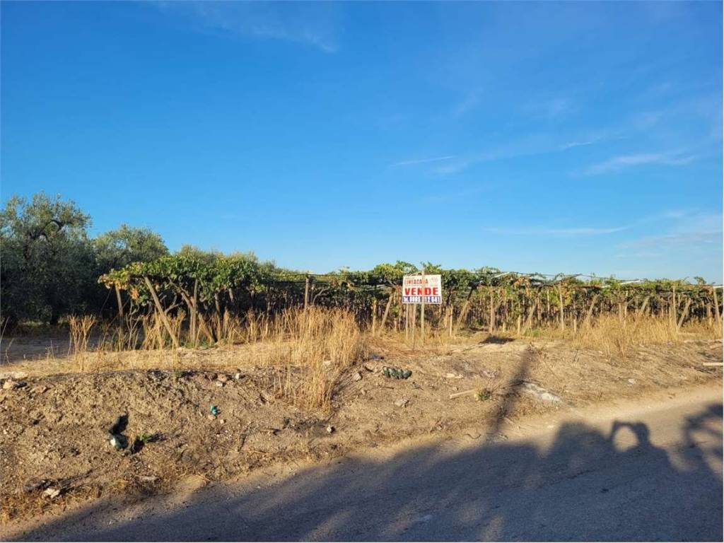Terreno a Cerignola in VIA TEANO - Foto 5