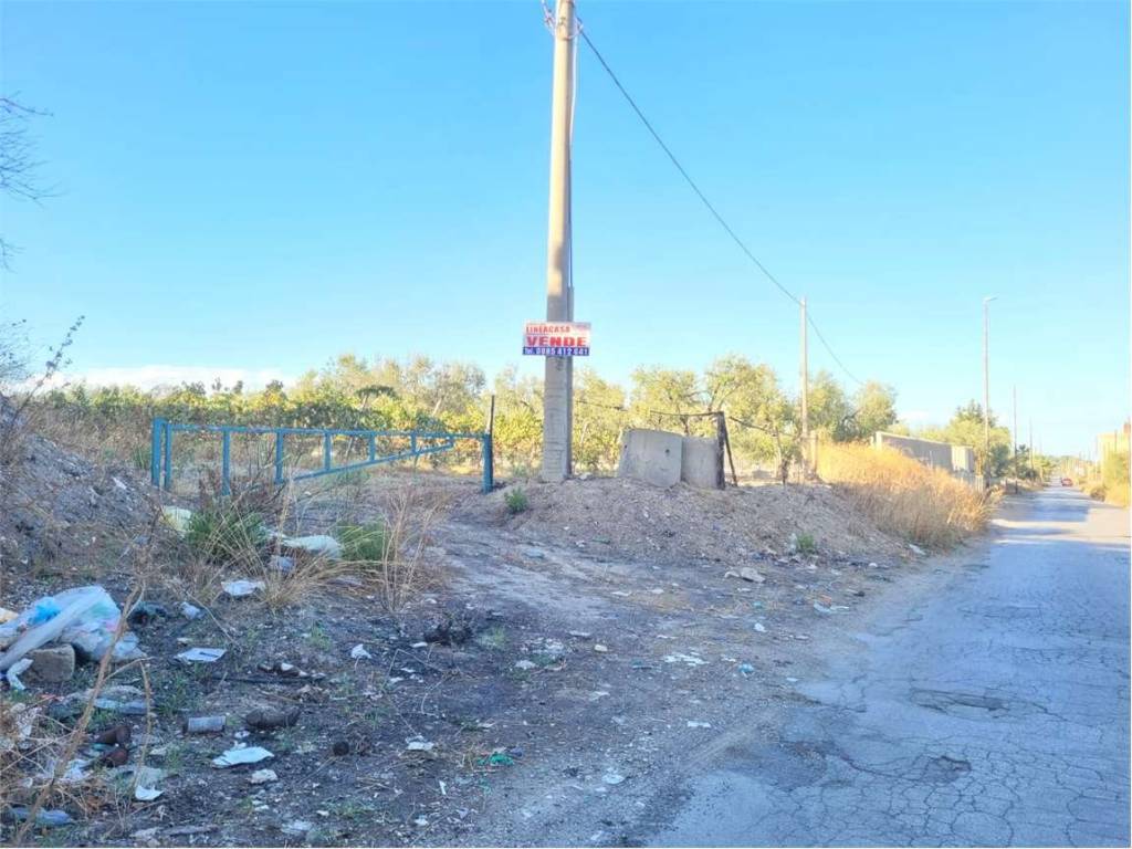 Terreno a Cerignola in CONTRADA QUARTO - Foto 2
