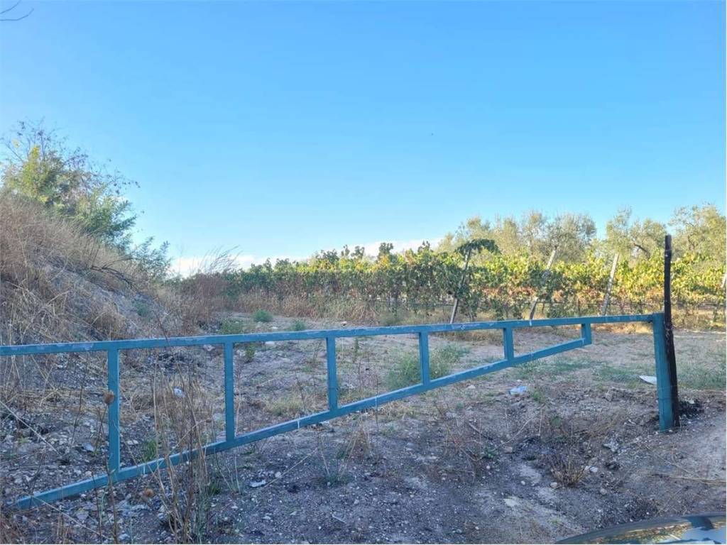 Terreno a Cerignola in CONTRADA QUARTO - Foto 3