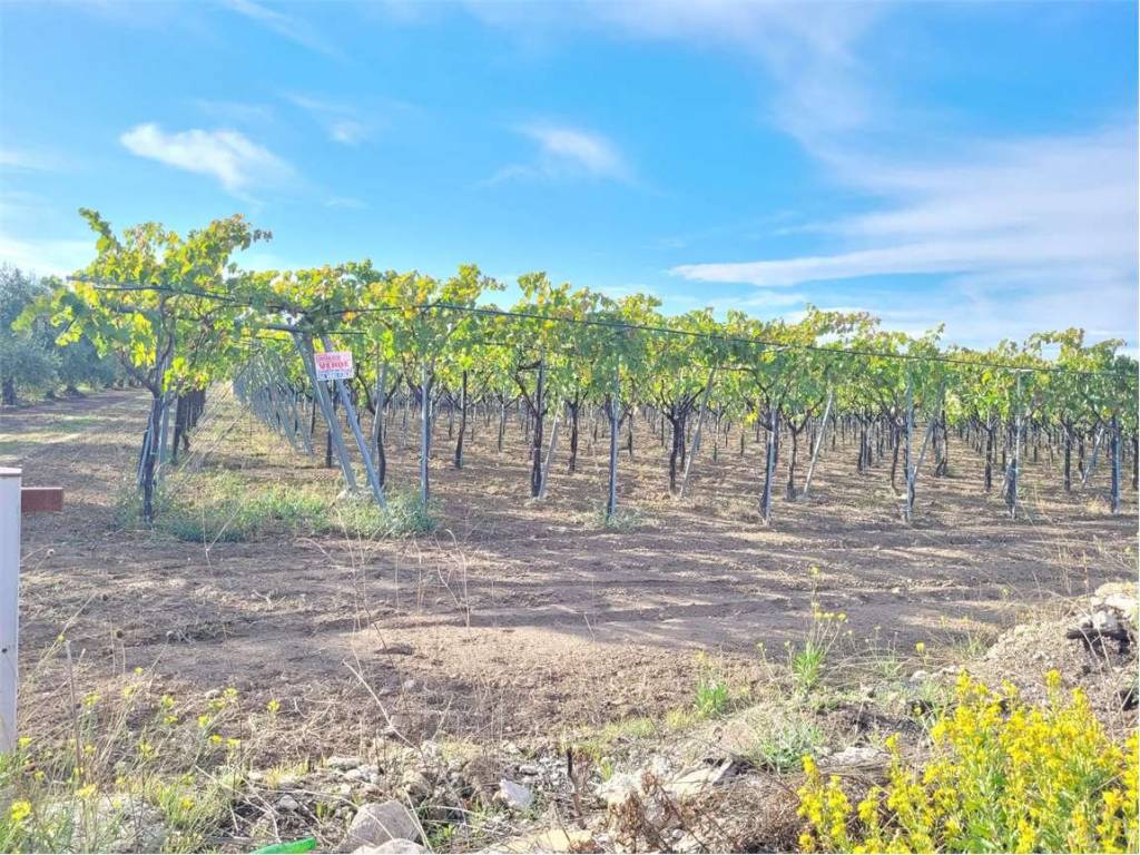 Terreno a Cerignola in STRADA COMUNALE VECCHIA BARLETTA - Foto 2