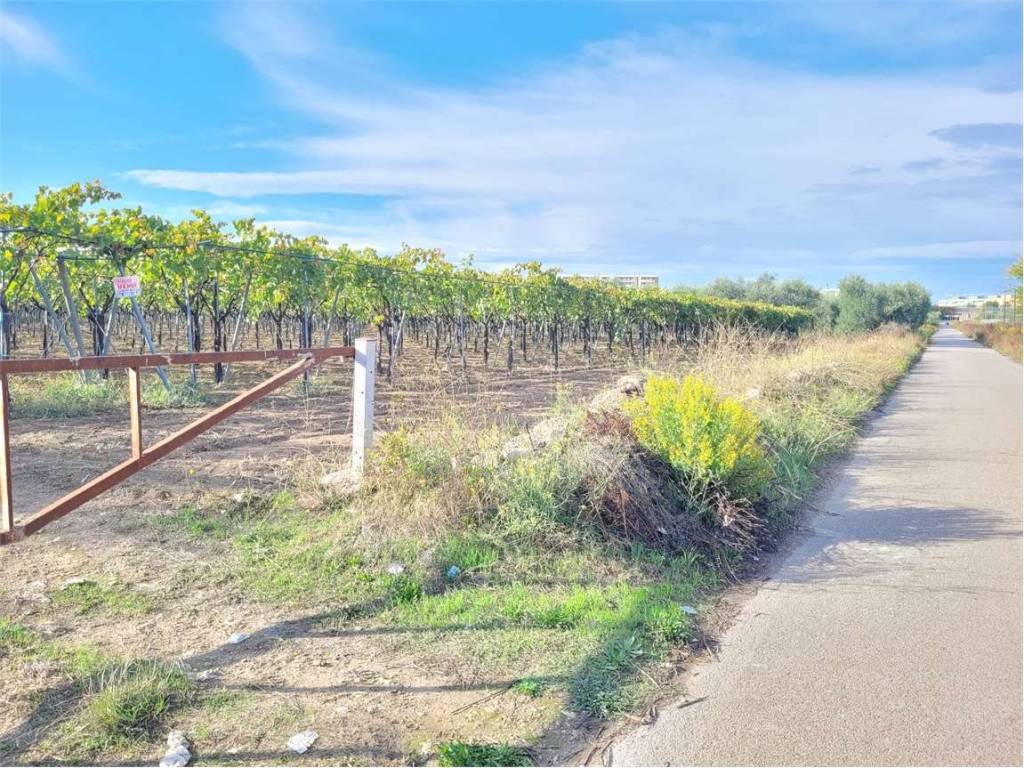Terreno a Cerignola in STRADA COMUNALE VECCHIA BARLETTA - Foto 3