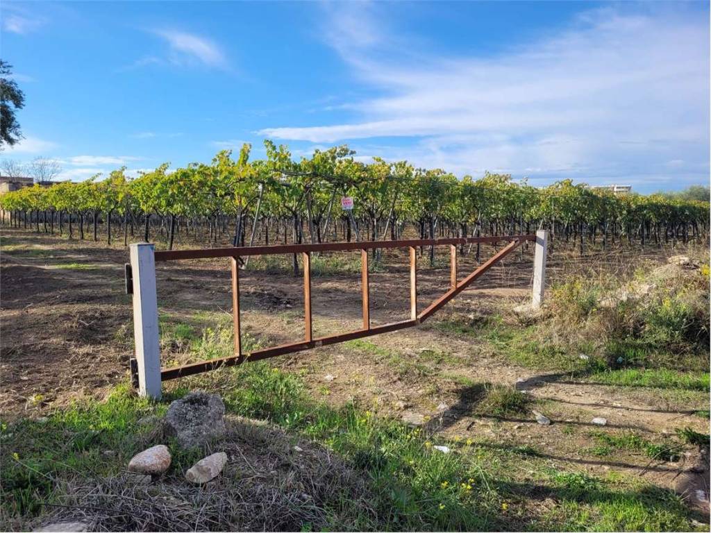 Terreno a Cerignola in STRADA COMUNALE VECCHIA BARLETTA - Foto 5