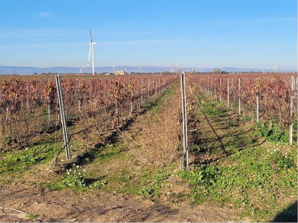 Terreno a Cerignola in SP 68 - Foto 3
