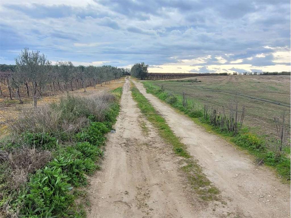 Terreno a Cerignola in VIA SAN SEVERO - Foto 2