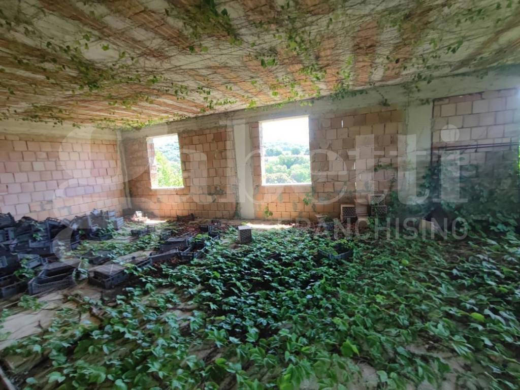 Rustico / casale a Sessa aurunca in via cupa sessa, snc - Foto 3