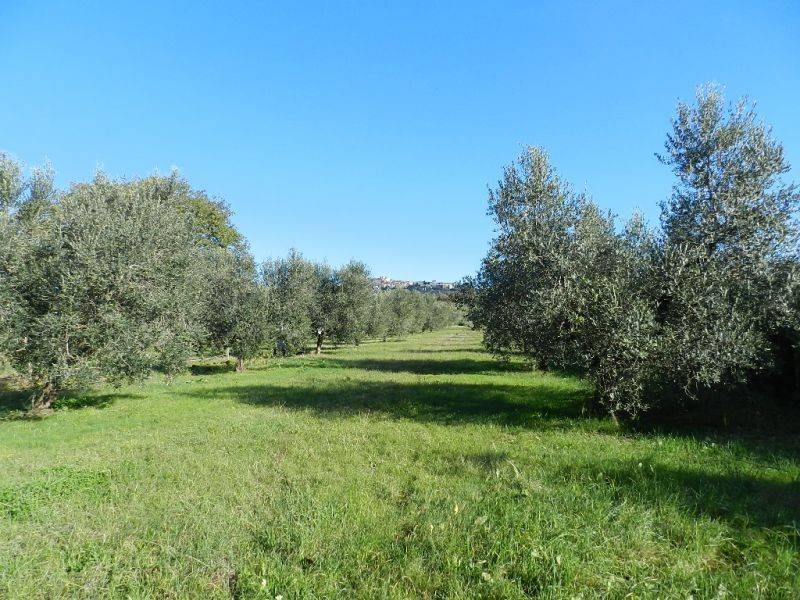 Villa a Rosignano marittimo - Foto 4