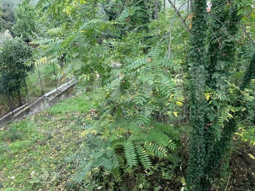 Casa indipendente a Santi cosma e damiano in via cesari - Foto 5