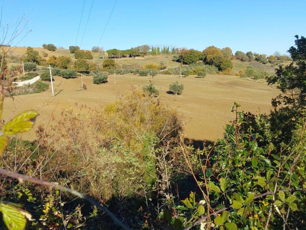 Terreno a Treia - Foto 3