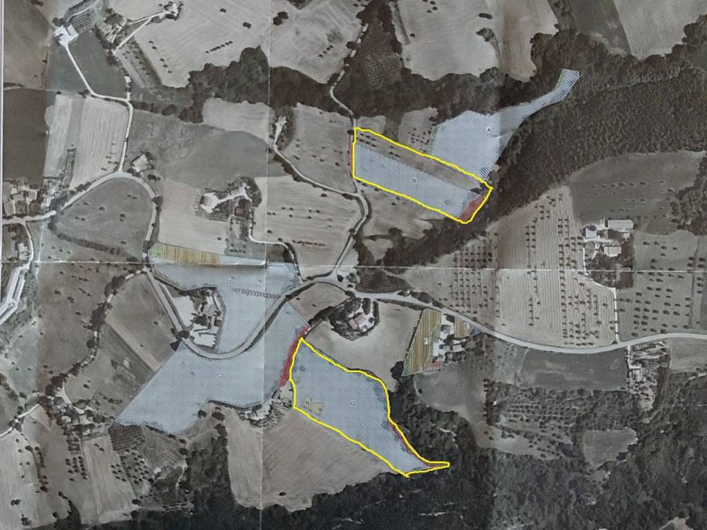 Terreno a Treia - Foto 4