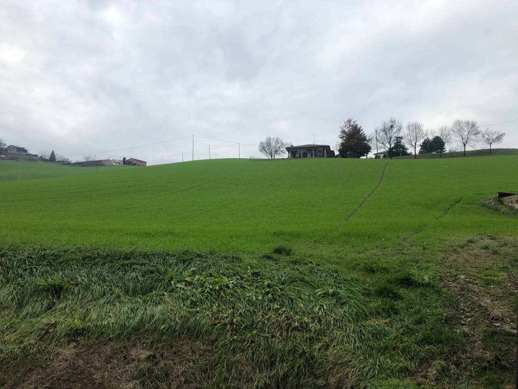 Rustico / casale a Medesano in Località Miano - Foto 3