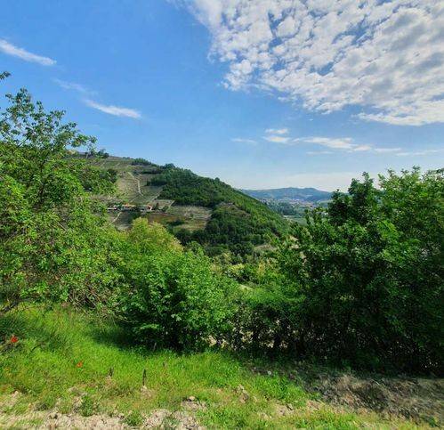 Villa a Santo stefano belbo - Foto 5