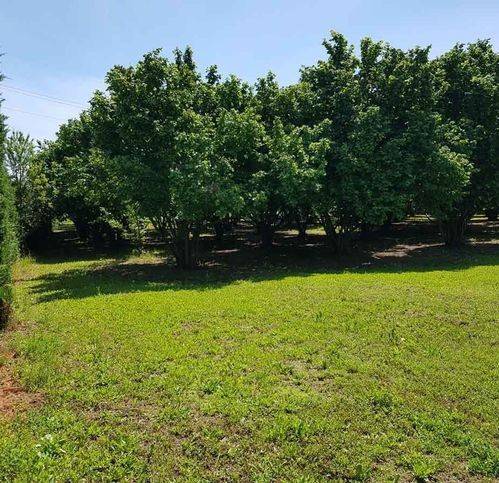 Rustico / casale a Bistagno in SP30 - Foto 4