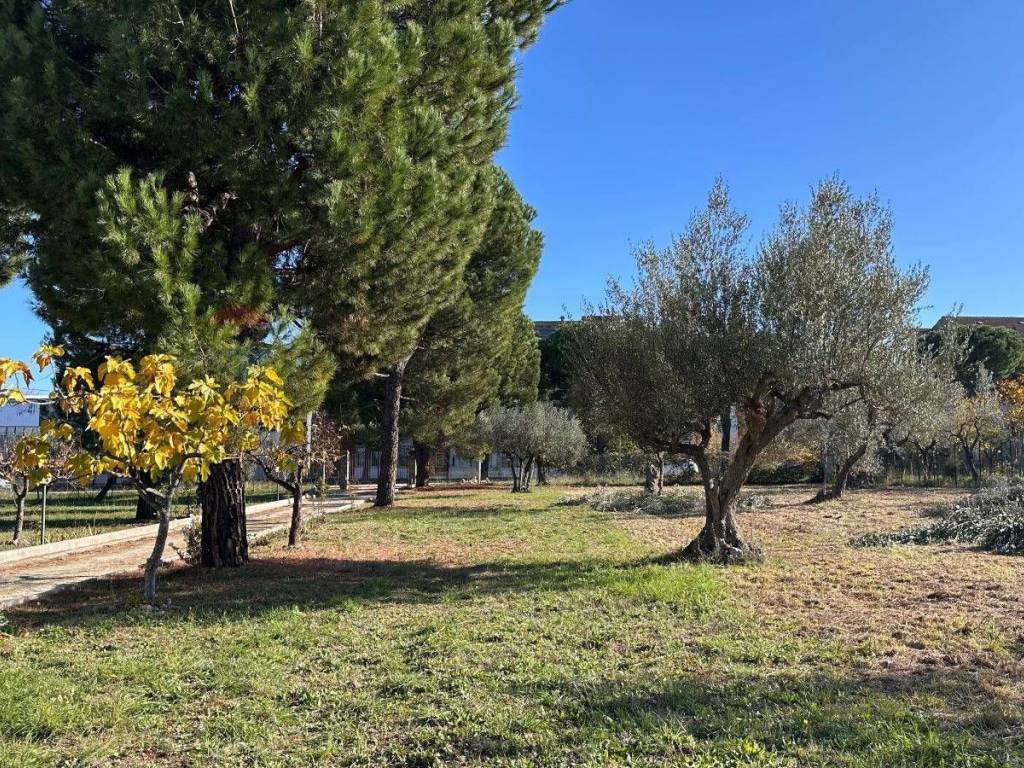 Terreno a Lanciano in Via per Treglio - Foto 4