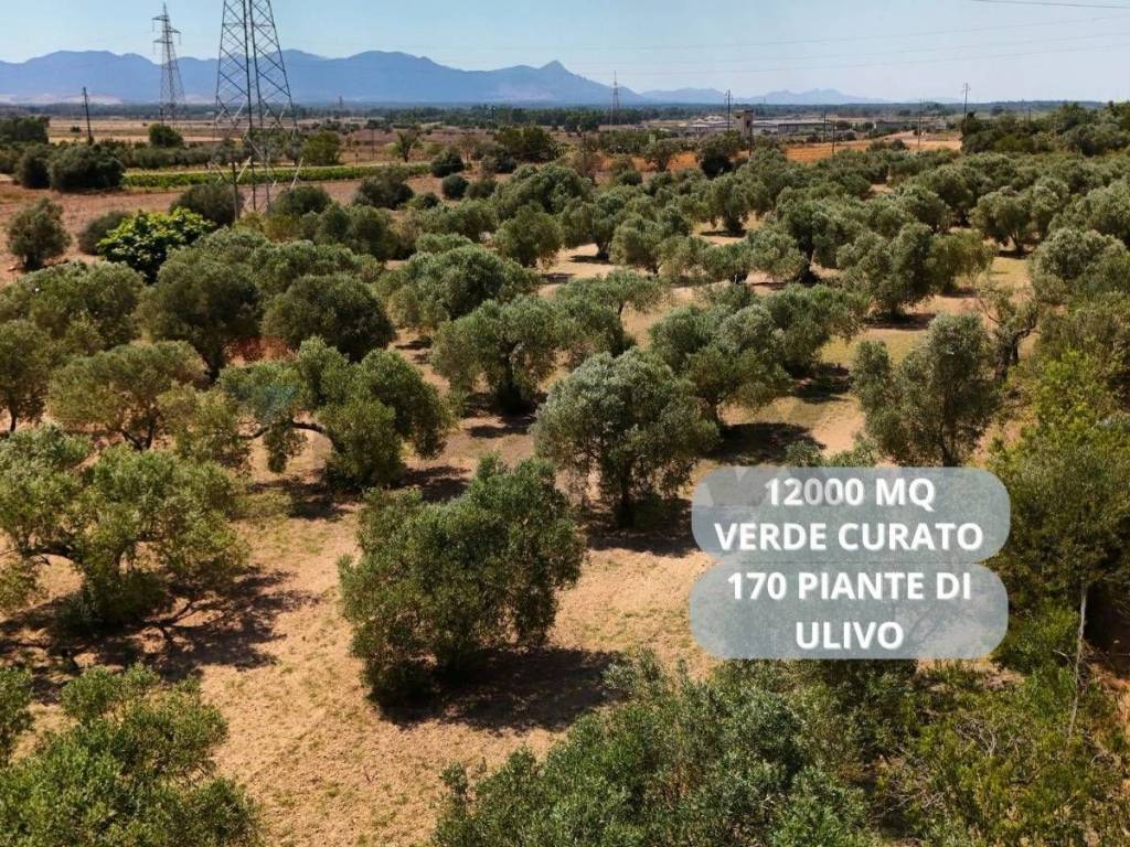 Terreno a Villasor in bia beccia serramanna - Foto 3