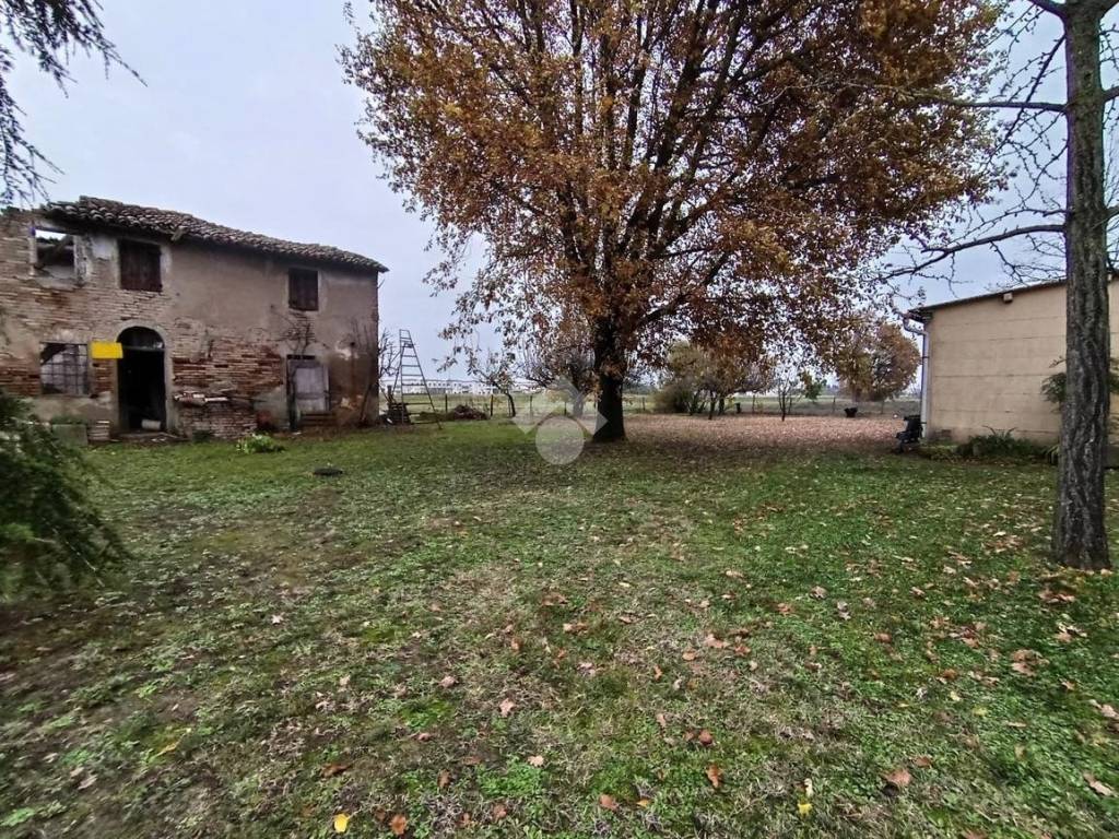 Terreno a Massa lombarda in Via Argine S.Paolo, 12 - Foto 4