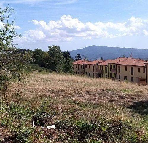 Terreno a Roccastrada - Foto 5