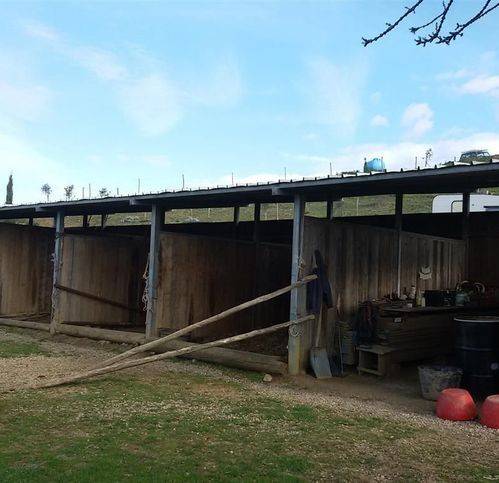 Terreno a Roccalbegna - Foto 4