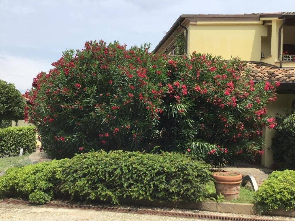 Villa a Gabicce mare - Foto 2
