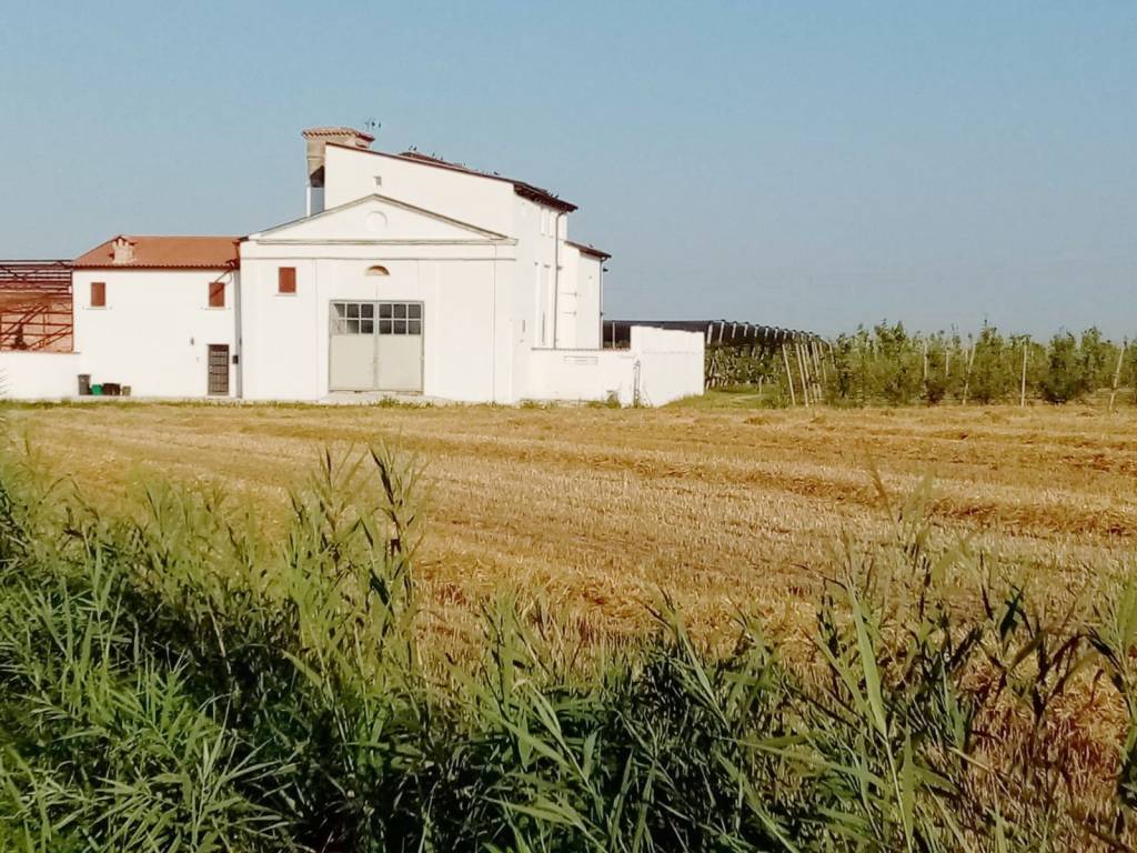Rustico / casale a Zevio in Via Chiesa Vecchia, 4 - Foto 3