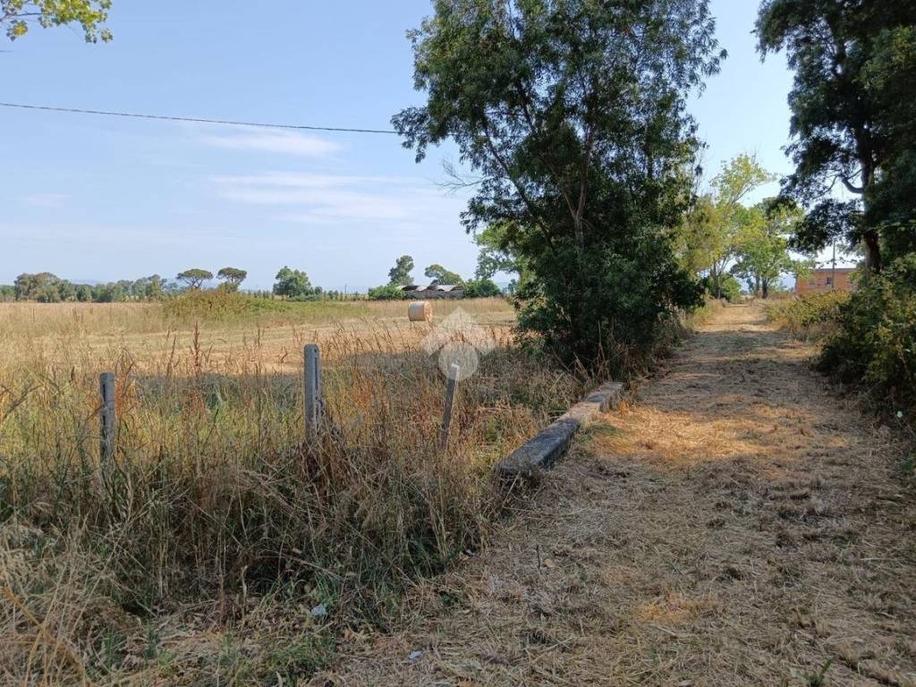 Terreno a Nettuno in Via strada provinciale 106b, 106 - Foto 3
