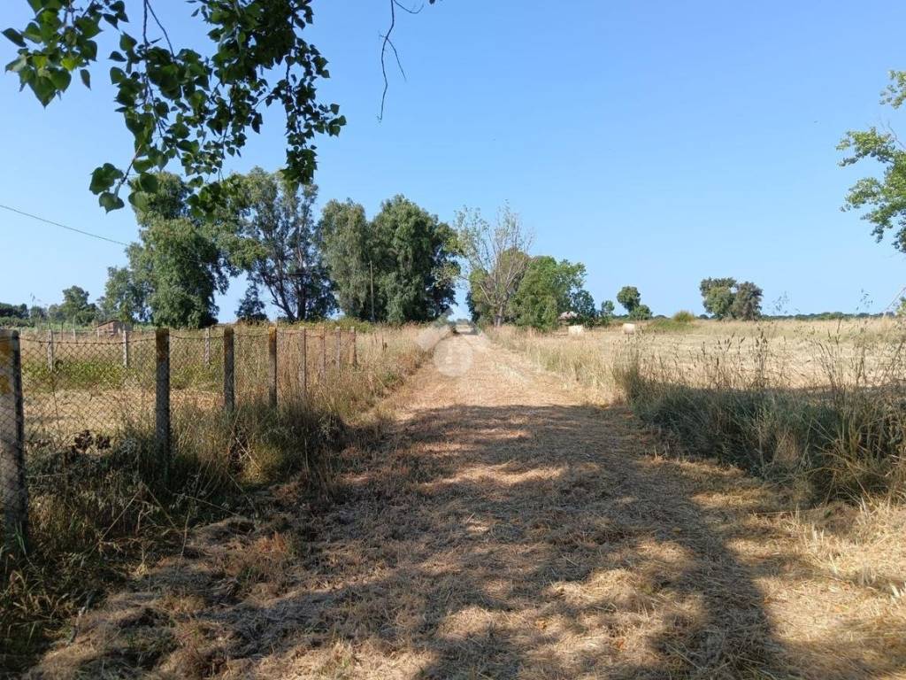 Terreno a Nettuno in Via strada provinciale 106b, 106 - Foto 4