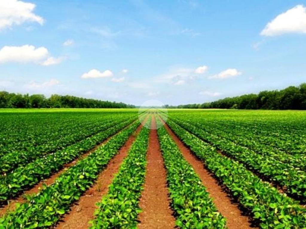 Terreno a Saonara in Via Villanova - Foto 2