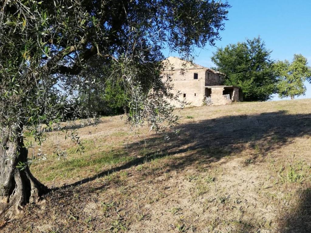 Casa indipendente a Montegiorgio in Contrada Cerreto - Foto 5