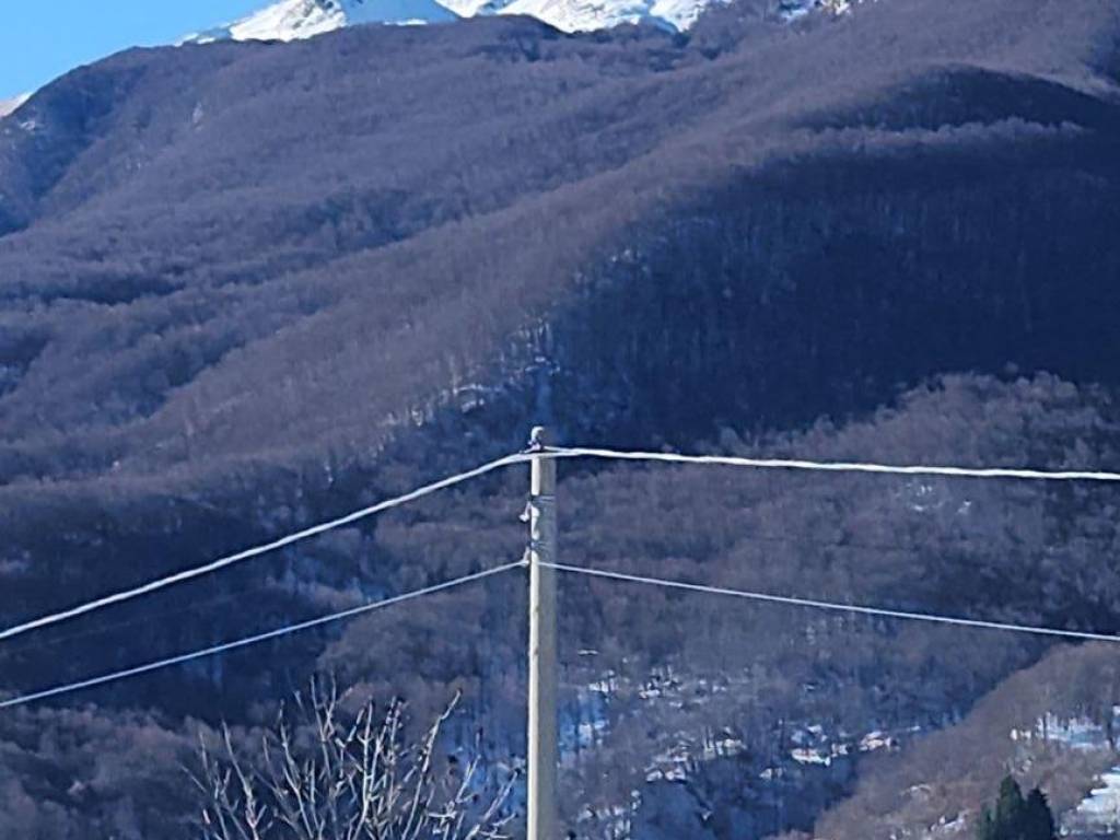 Casa indipendente a Ventasso in Via della Ravinella, 2 - Foto 4
