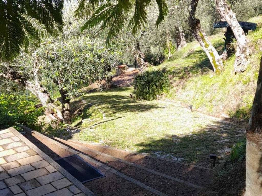 Terreno a Massarosa - Foto 5