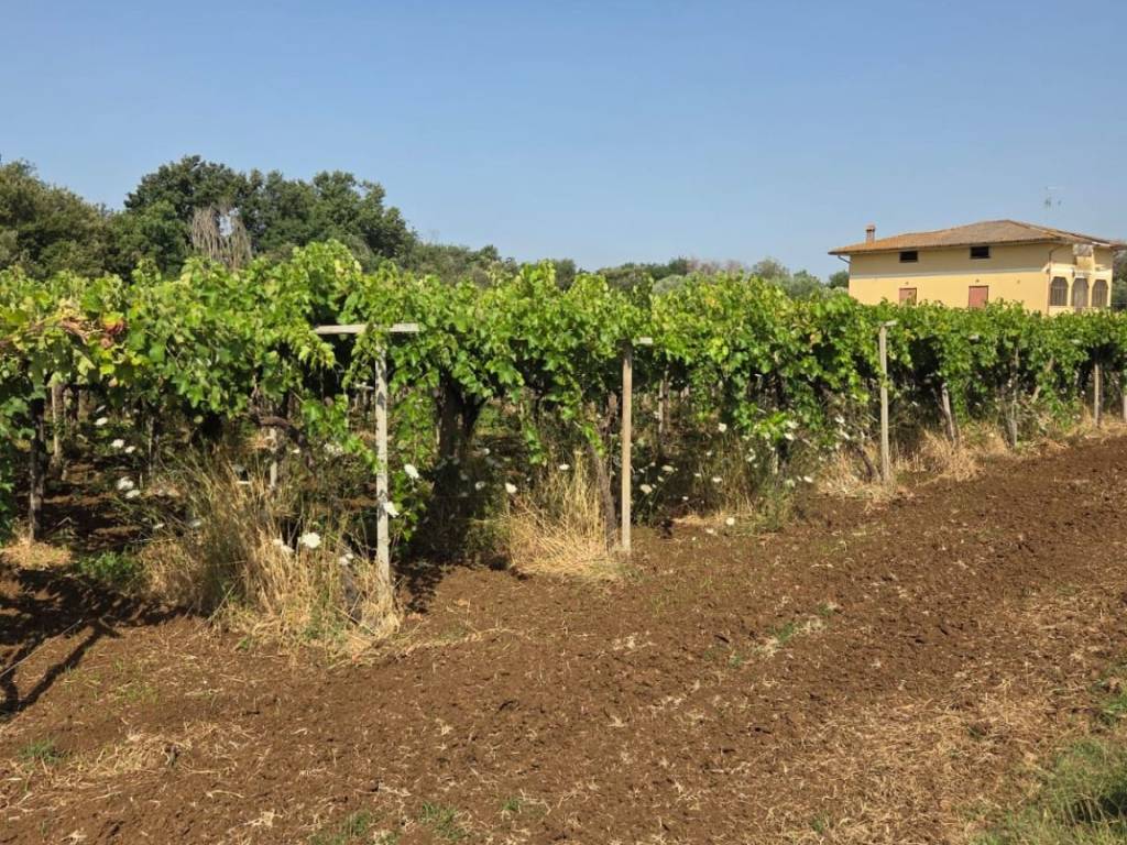 Terreno a Lanuvio in Via Malcavallo - Foto 3