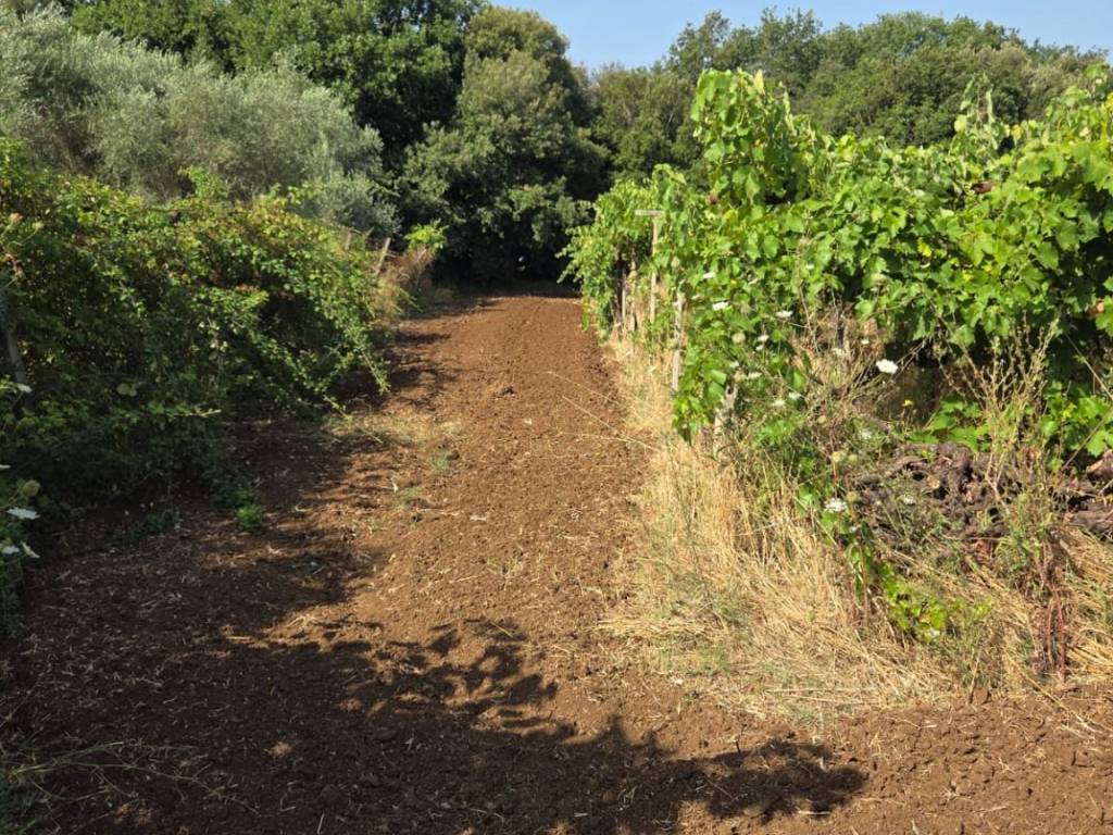 Terreno a Lanuvio in Via Malcavallo - Foto 4