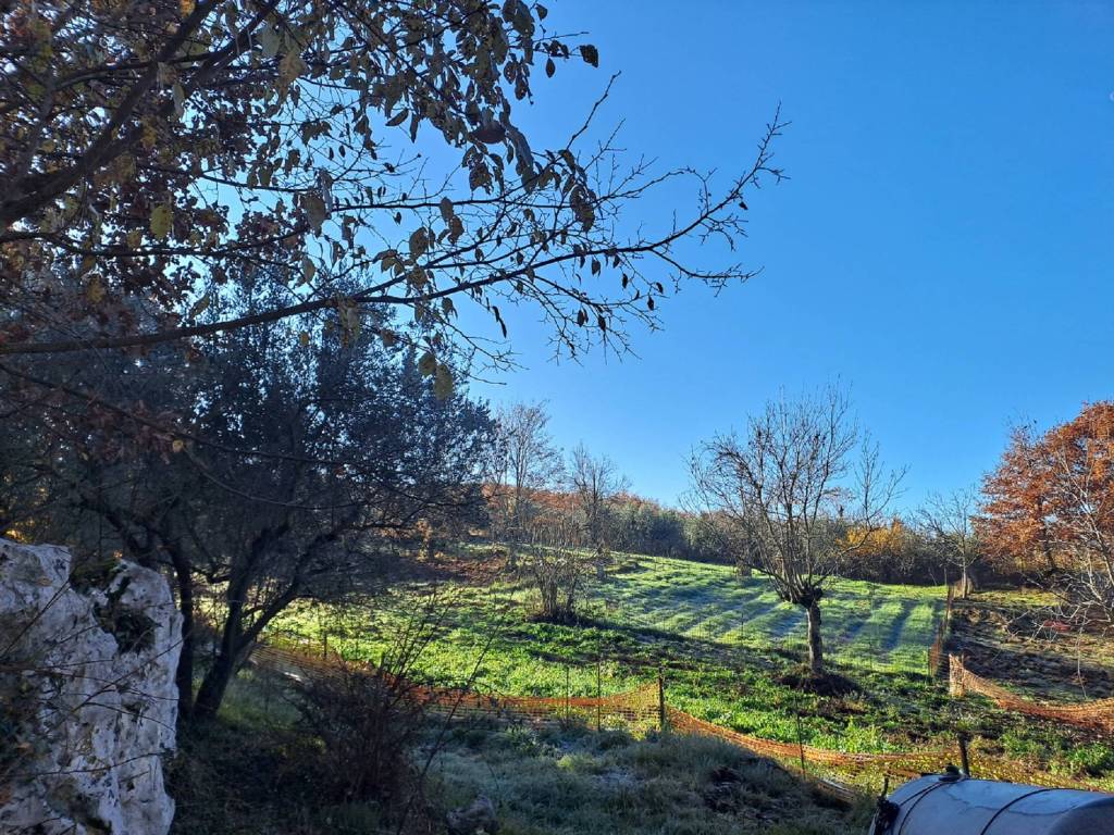 Rustico / casale a Torricella in sabina in Via della Madonna, 17 - Foto 3