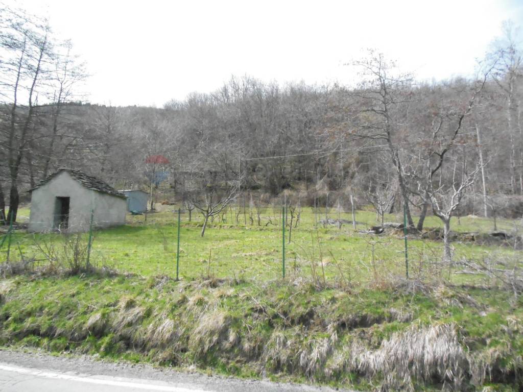 Terreno a Castel di casio - Foto 2