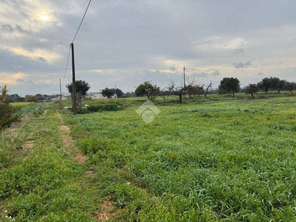 Terreno a Monopoli in Contrada Parco di Tucci - Foto 2