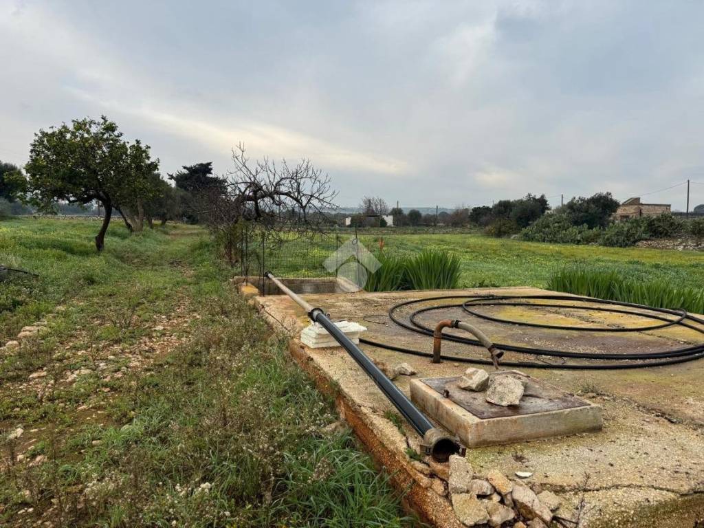 Terreno a Monopoli in Contrada Parco di Tucci - Foto 3