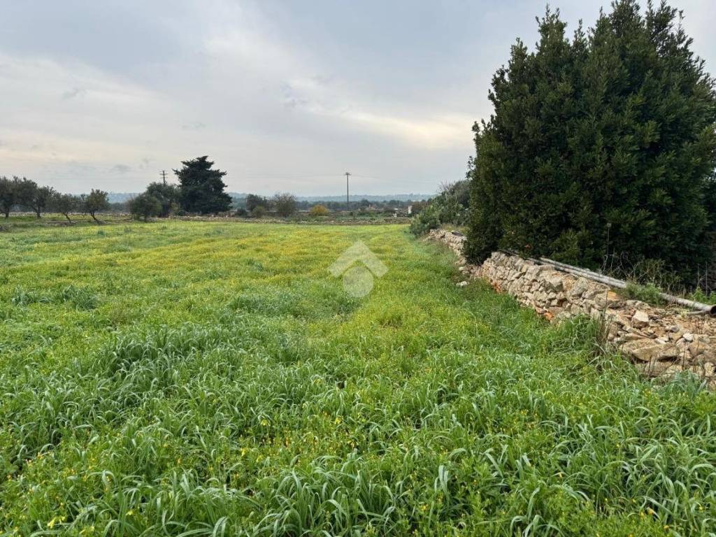 Terreno a Monopoli in Contrada Parco di Tucci - Foto 5