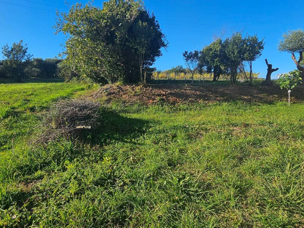Villa a Capannori in Via dei Pezzini - Foto 3