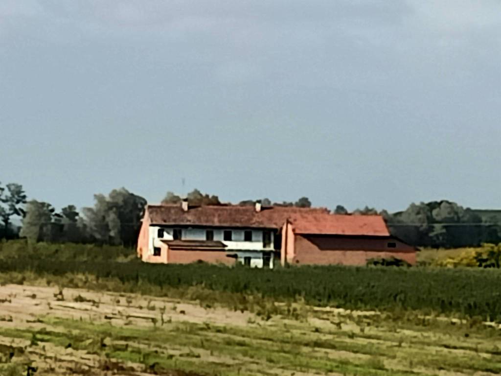Rustico / casale a Villanova solaro in Via Basse - Foto 3