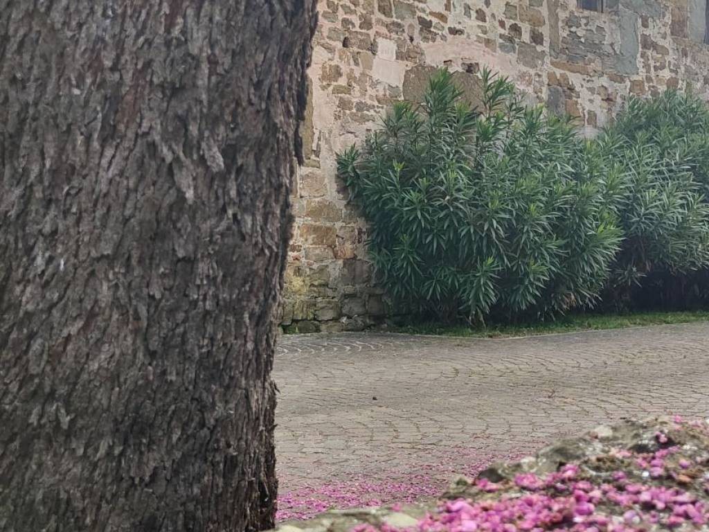 Rustico / casale a Cormons - Foto 5