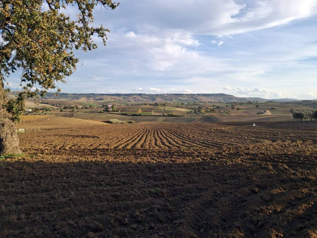 Terreno a Montenero di bisaccia in Strada Comunale di Monte Bello - Foto 2