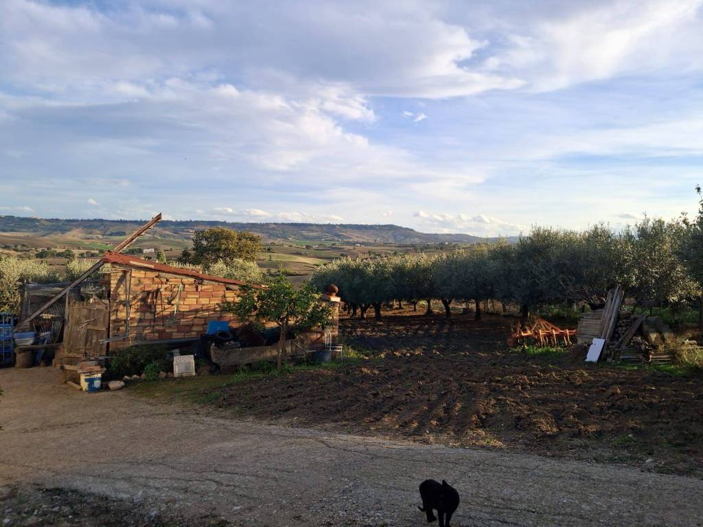 Terreno a Montenero di bisaccia in Strada Comunale di Monte Bello - Foto 3