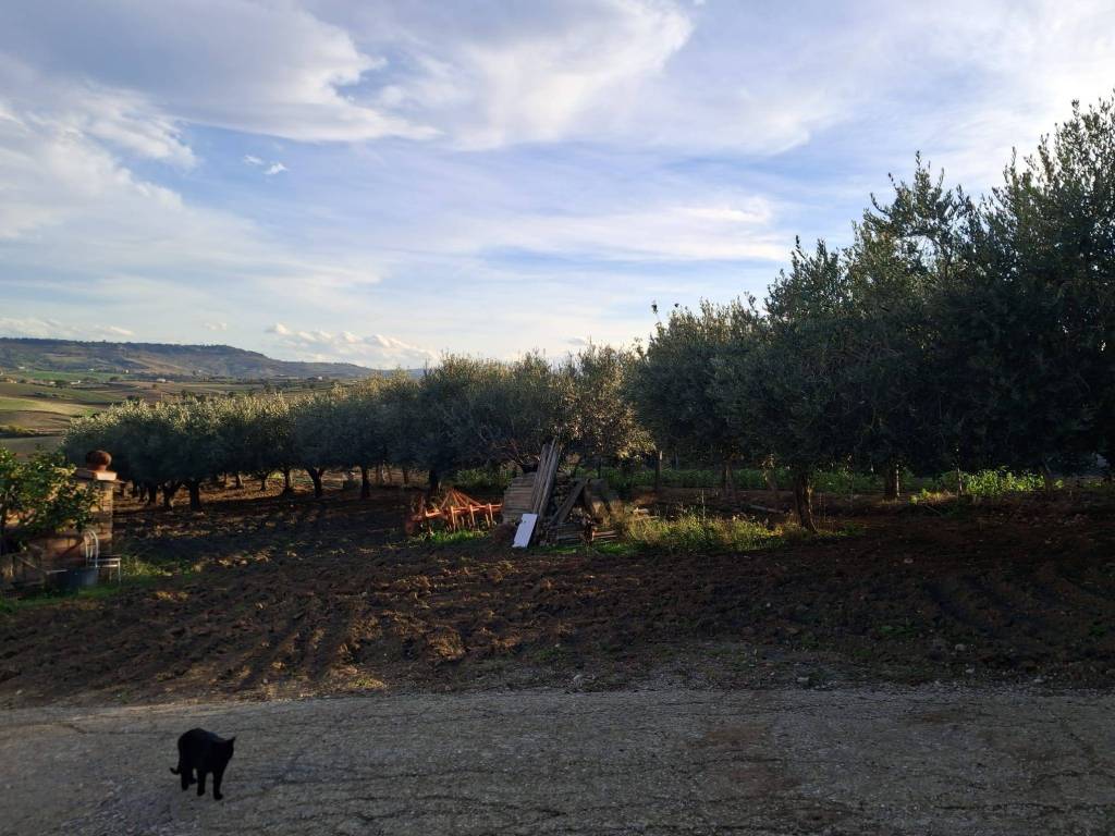 Terreno a Montenero di bisaccia in Strada Comunale di Monte Bello - Foto 4