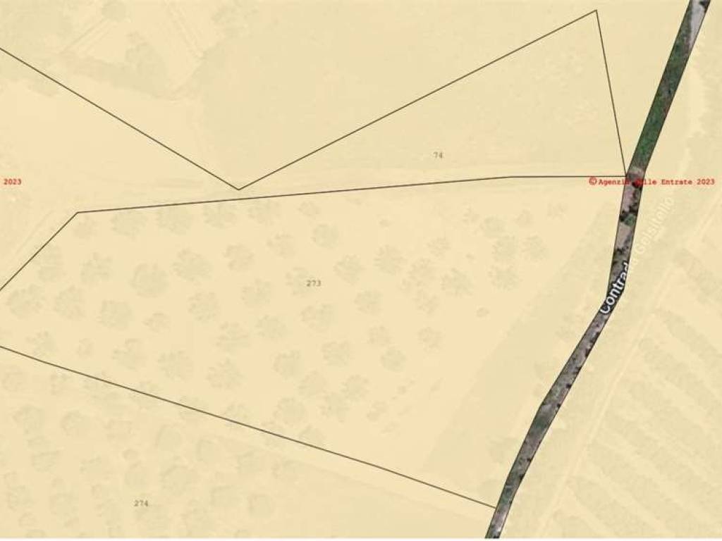 Terreno a Simeri crichi in LOCALITA' GELSITELLO - Foto 2