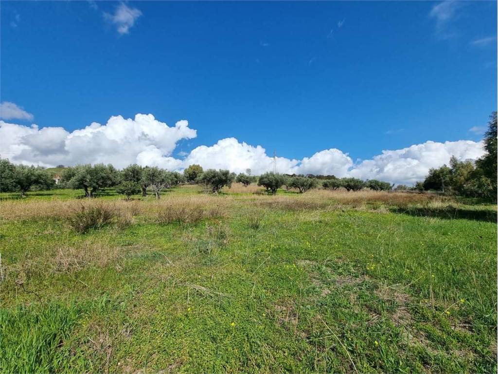 Terreno a Simeri crichi in LOCALITA' GELSITELLO - Foto 4