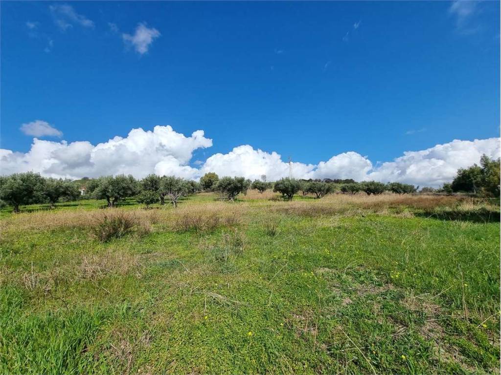 Terreno a Simeri crichi in LOCALITA' GELSITELLO - Foto 5