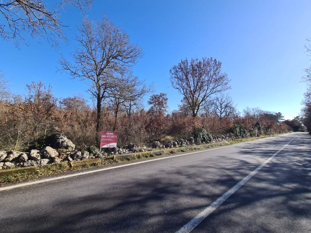 Terreno a Alberobello in Strada Provinciale di Alberobello - Foto 2