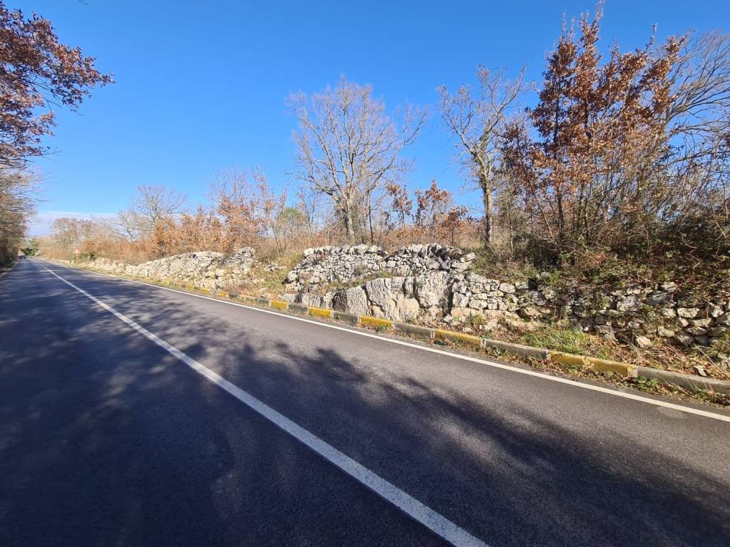 Terreno a Alberobello in Strada Provinciale di Alberobello - Foto 3