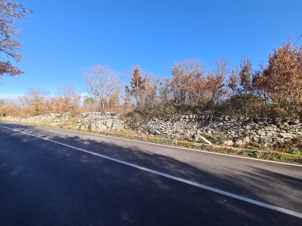 Terreno a Alberobello in Strada Provinciale di Alberobello - Foto 4