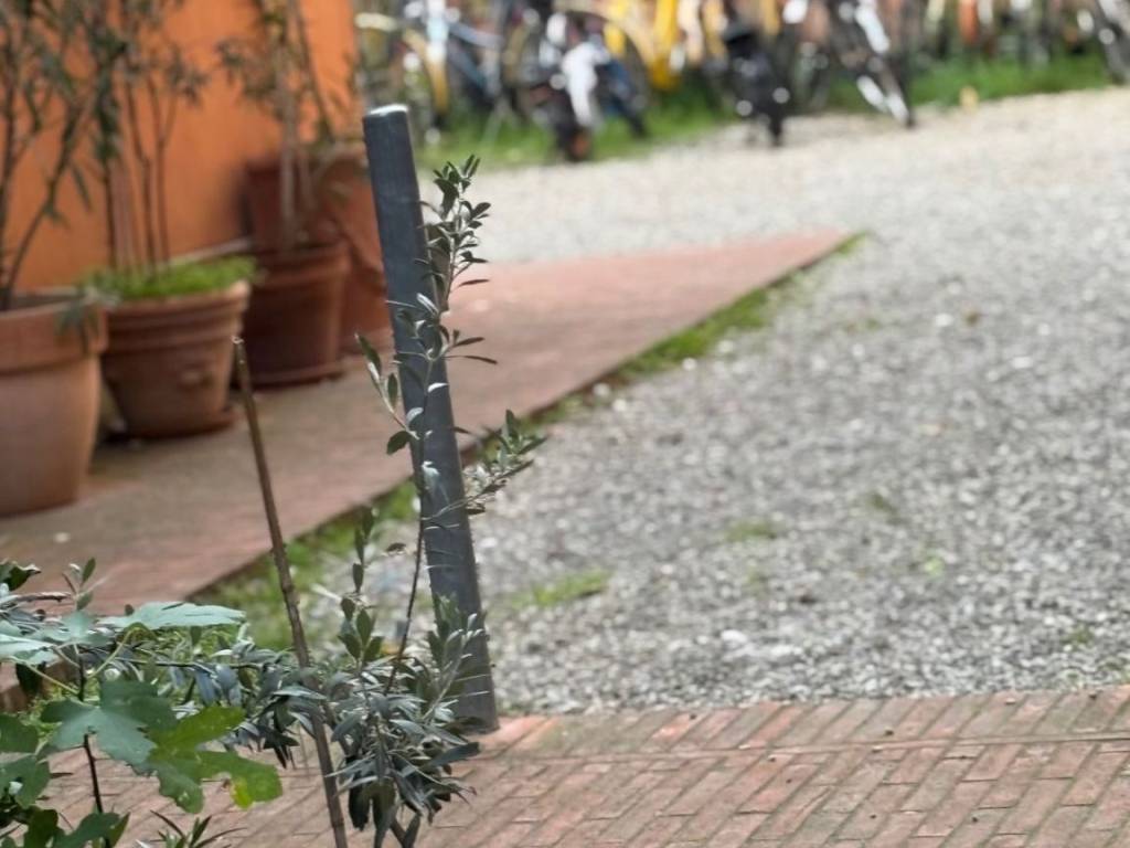 Appartamento a Bologna - Foto 2